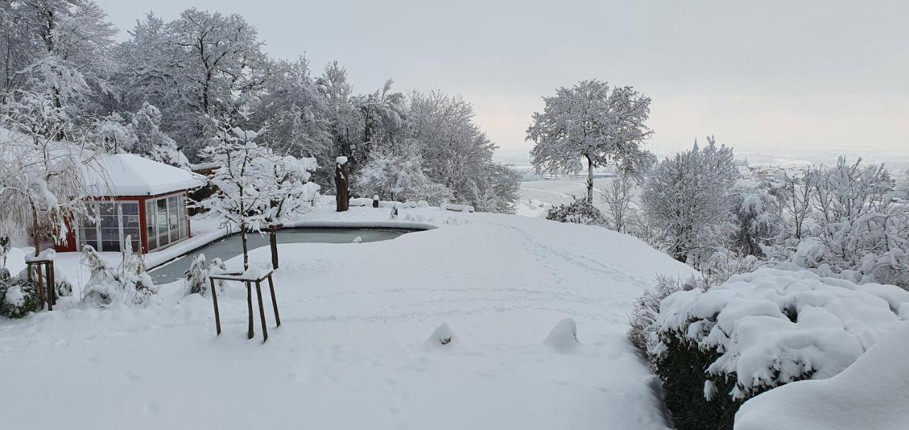 Paradies 2 Castellberg-Jakobsweg Ballrechten-Dottingen Bagian luar foto