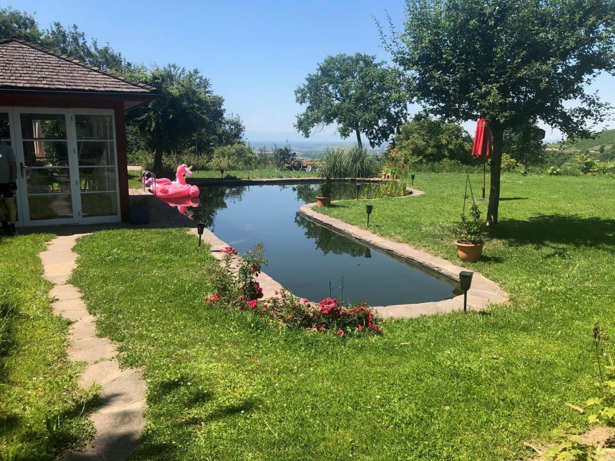 Paradies 2 Castellberg-Jakobsweg Ballrechten-Dottingen Bagian luar foto