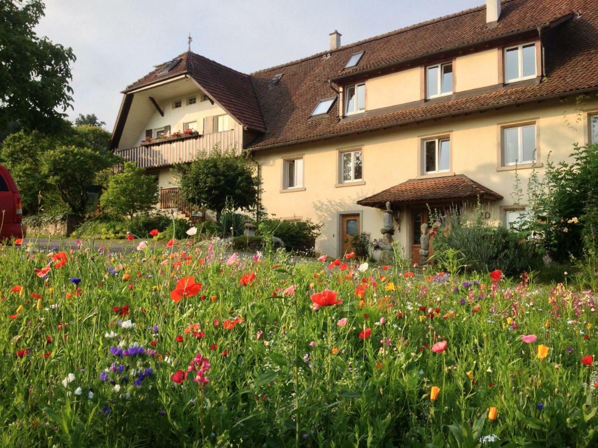 Paradies 2 Castellberg-Jakobsweg Ballrechten-Dottingen Bagian luar foto